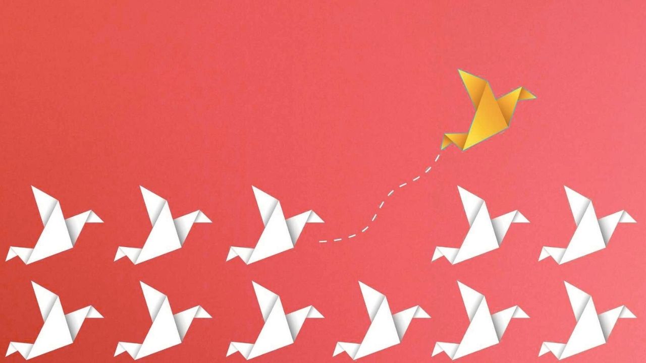 Top 6 Alternatives for BrandVerity to Safeguard Your Brand and Track Ads